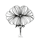 Fleur délicate aux lignes élégantes en noir